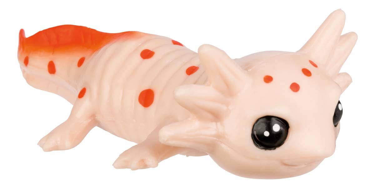 Assorted Aquoddities Squishimals - QTY 1 Squishy