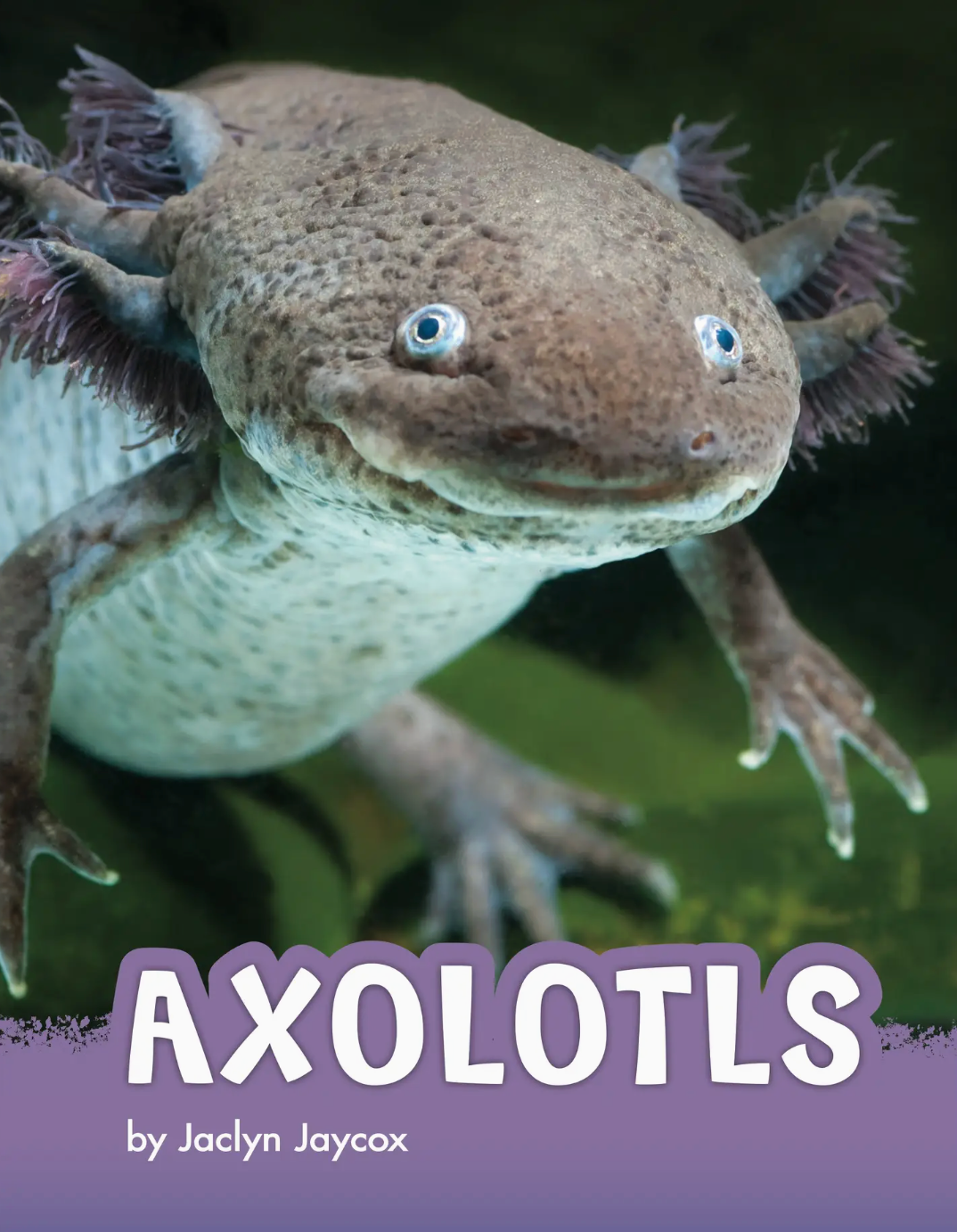 2lb Weighted Axolotl Plush and Book Set