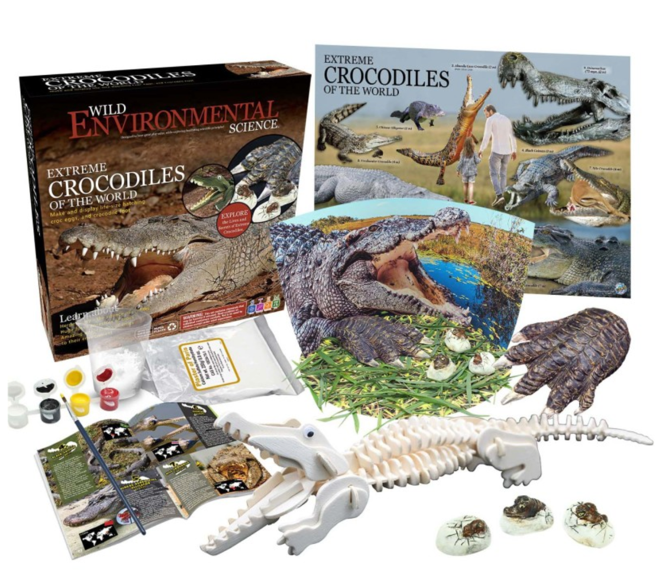 Crocodile Animal Science Curriculum Kit