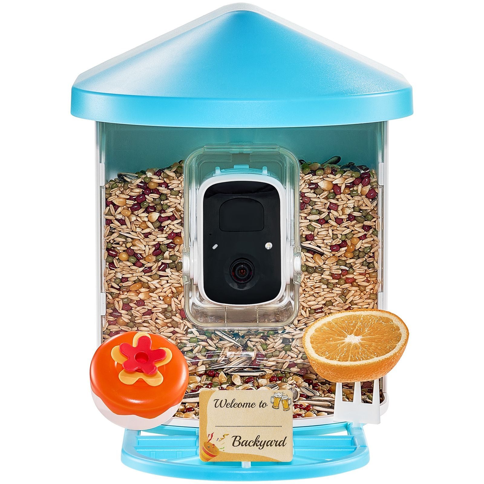 Adventures In Birding Curriculum Kit