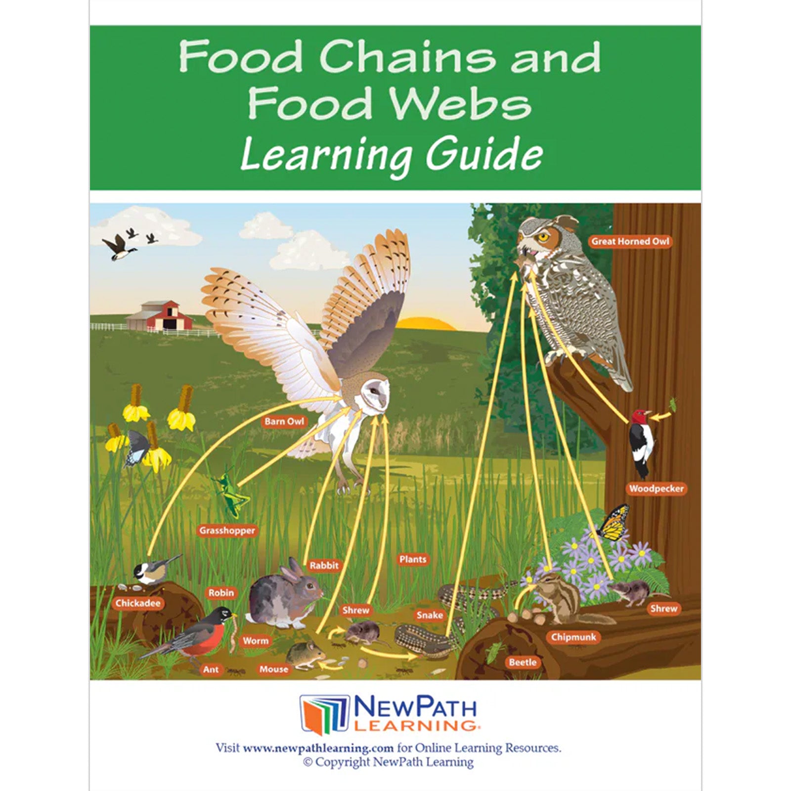 Food Chains & Food Webs Learning Center