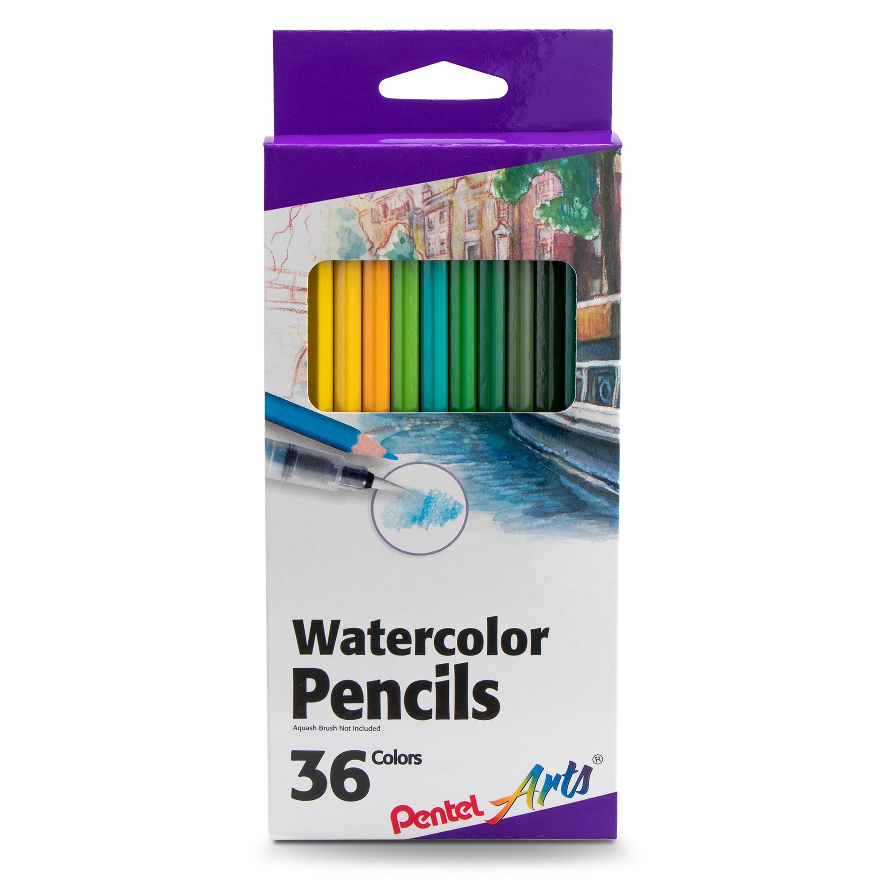 Watercolor Fine Arts Curriculum Kit Grade 3-12