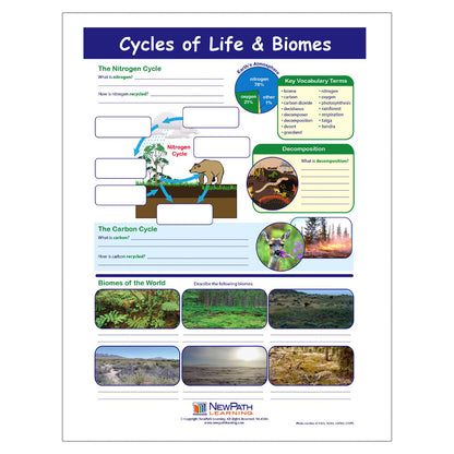 Cycles of Life & Biomes Learning Center