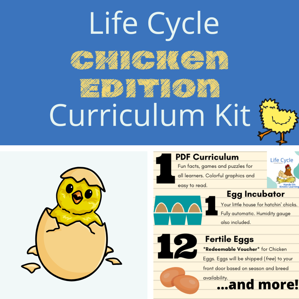 Animal Science Curriculum Kit: Chicken Life Cycle