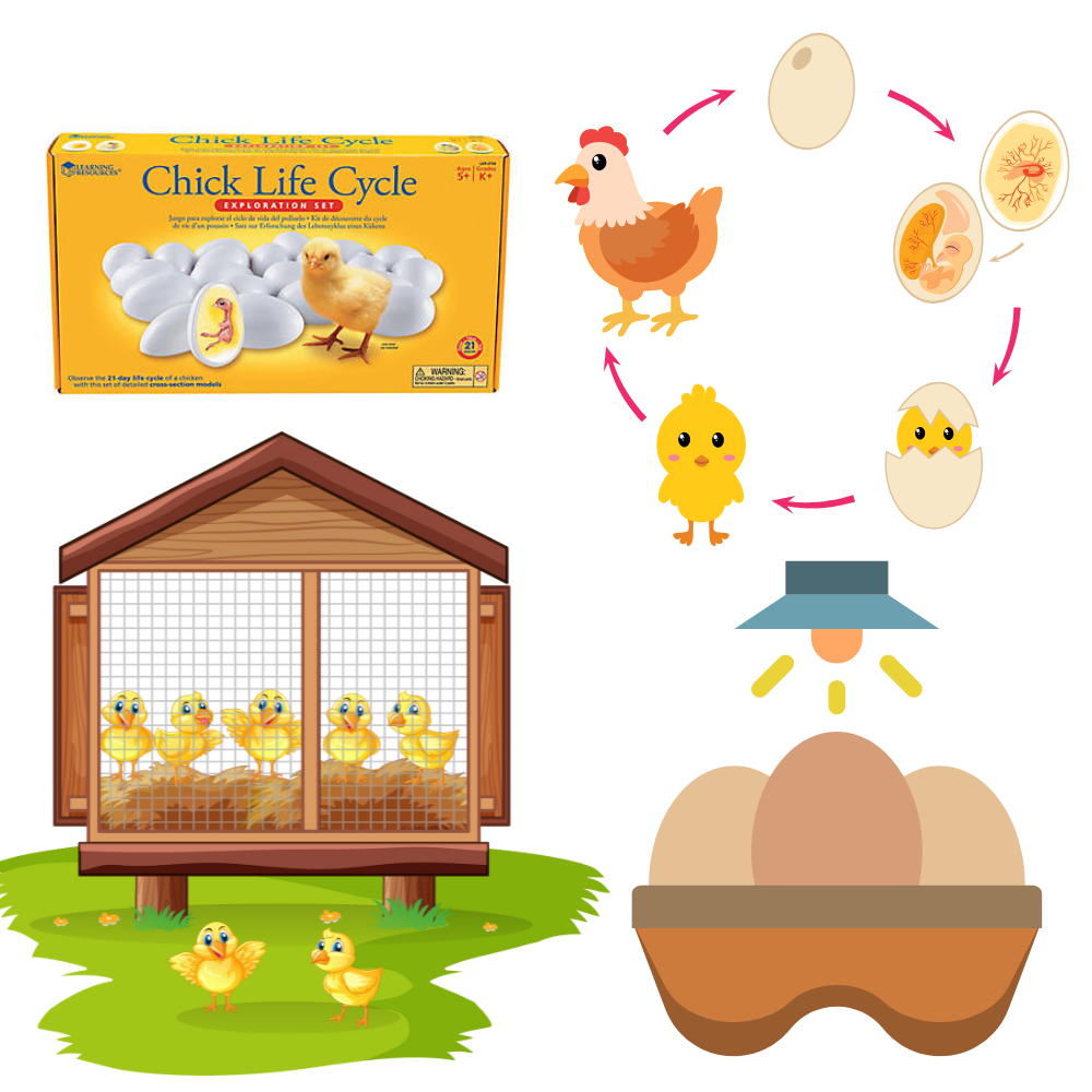 Inclusive and Adaptive Animal Science Curriculum Kit