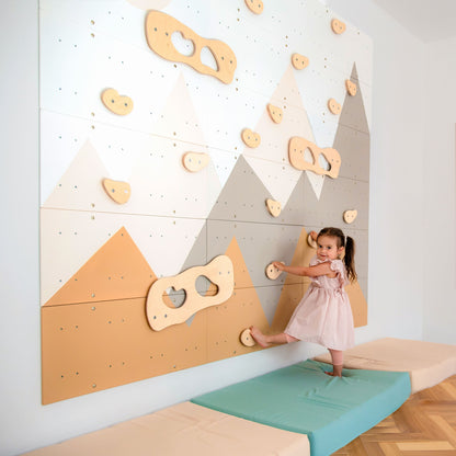 Indoor Climbing Wall