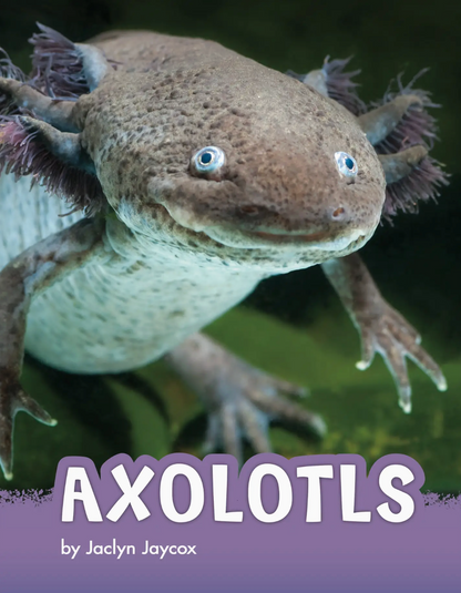 2lb Weighted Axolotl Plush and Book Set