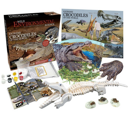 Crocodile Animal Science Curriculum Kit
