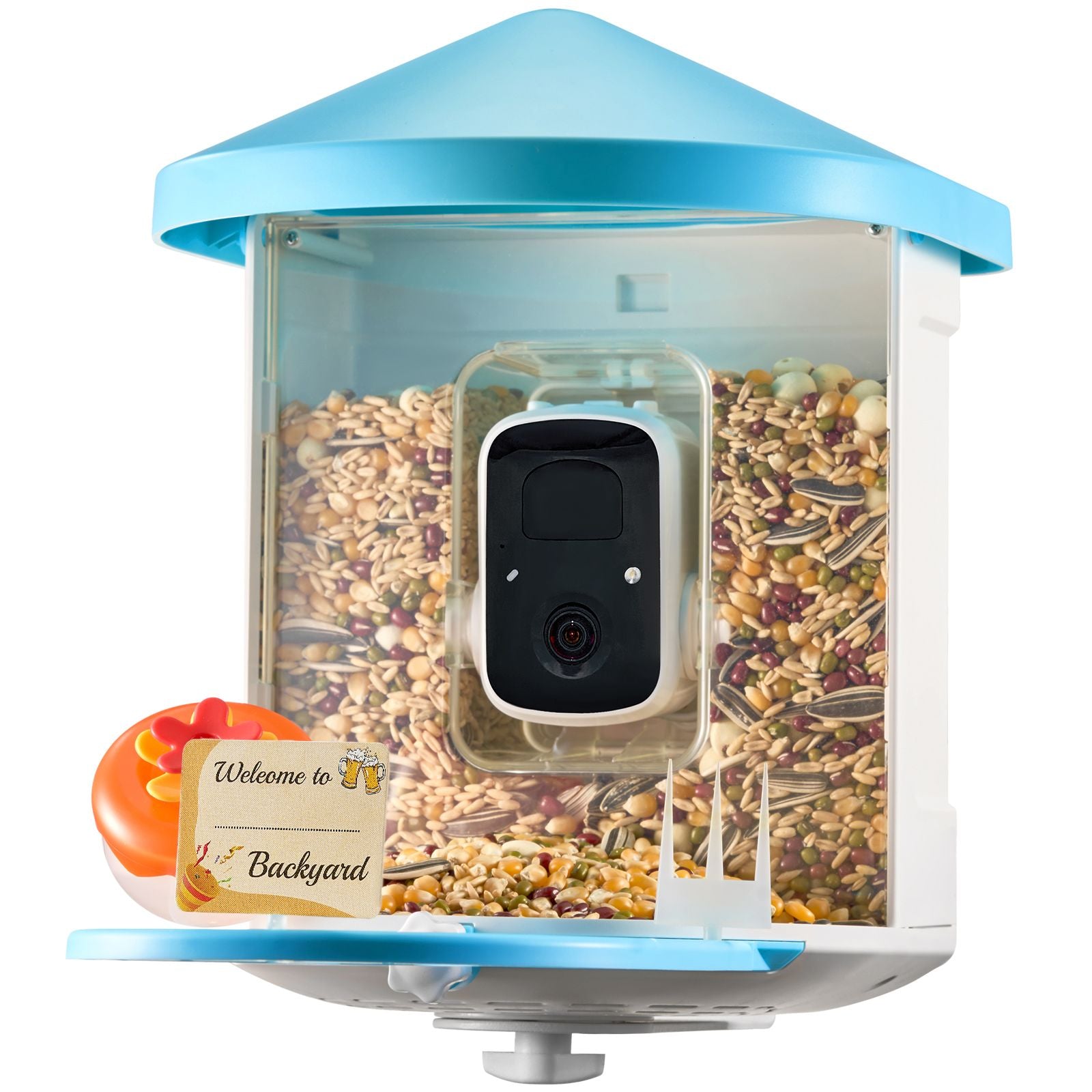 Adventures In Birding Curriculum Kit