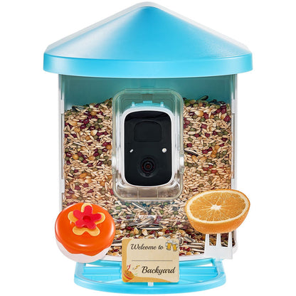 Adventures In Birding Curriculum Kit