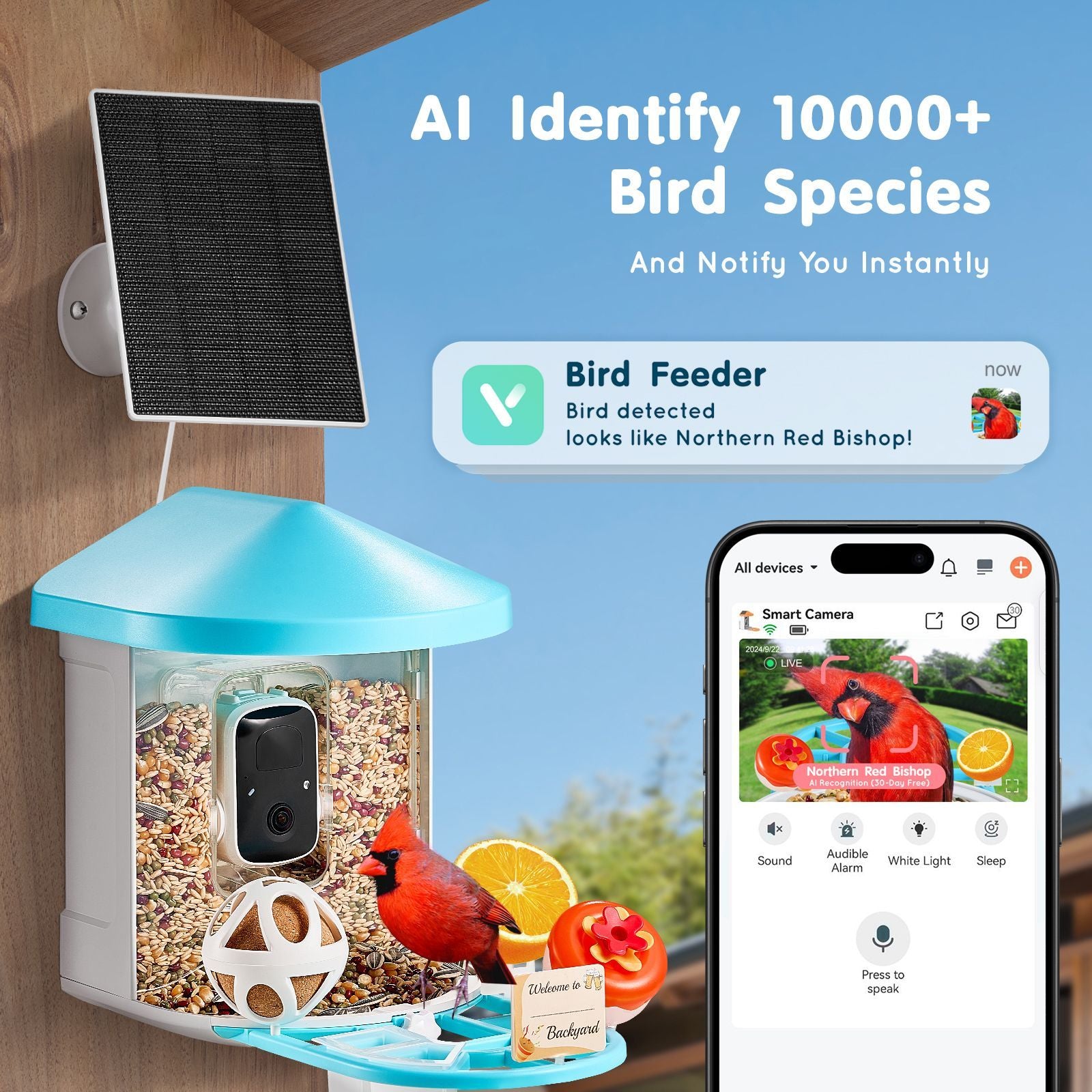 537899051