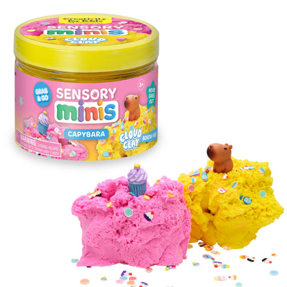 Sensory Mini Play Kit Jar Capybara